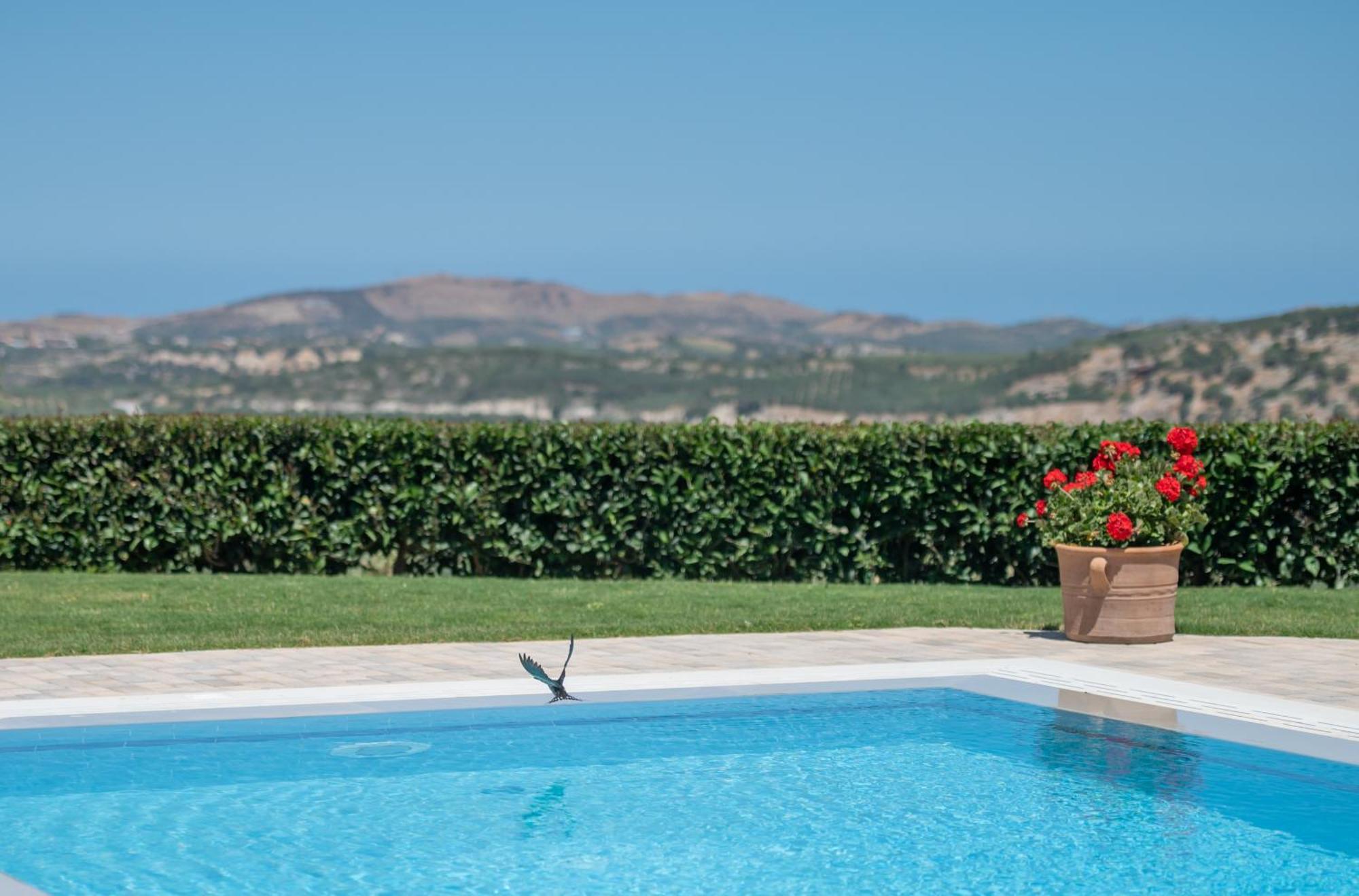 Villa Elisabeth Πέραμα Εξωτερικό φωτογραφία